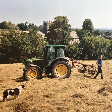 Carey'S Bar & Farmhouse Kilkenny Border Oldleighlin Exterior photo