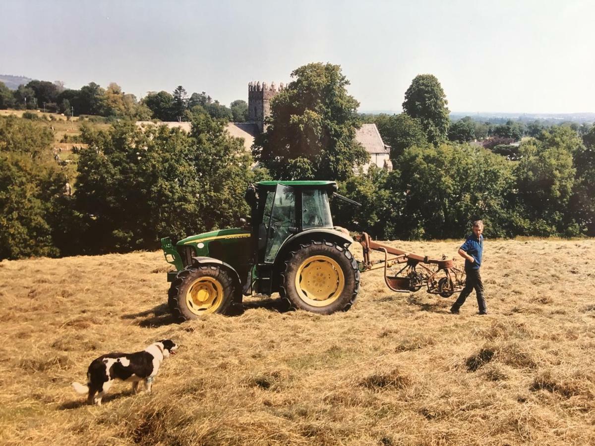 Carey'S Bar & Farmhouse Kilkenny Border Oldleighlin Exterior photo