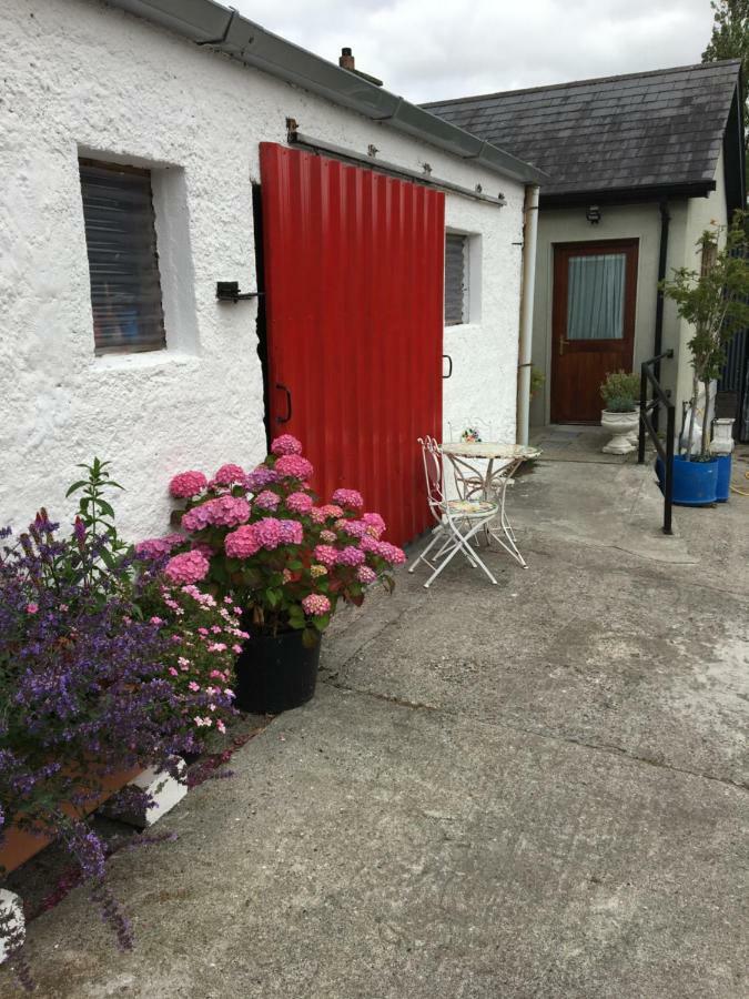 Carey'S Bar & Farmhouse Kilkenny Border Oldleighlin Exterior photo